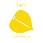 aspen
