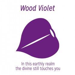 woodviolet